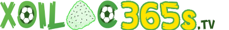 Lịch Thi đấu V-league-trực tiếp bóng đá trực tiếp hôm nay